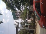3 BHK + Pooja Room 1500 Sq.Ft. Apartment in TVS Emerald Isle of Trees