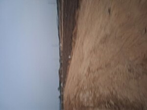  Plot – Exterior View View at Imt Manesar - for Sale