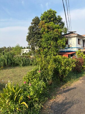 Plot Area in  Plot at Chembukkavu – for Sale