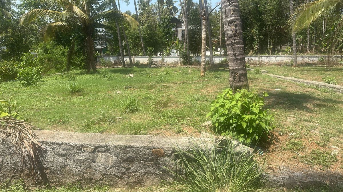 Plot For Sale in Aranattukara