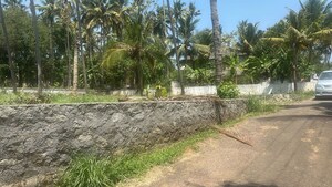 Plot Area in  Plot at Aranattukara – for Sale