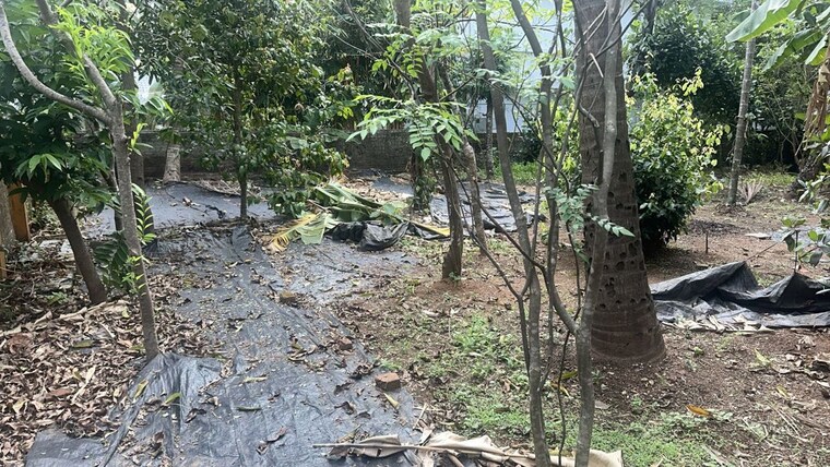 undefined, kuttanellur  4356 Sq.Ft. Plot In Kuttanellur Thrissur 10313164