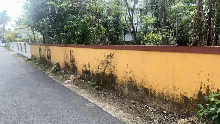 undefined, kuttanellur  4356 Sq.Ft. Plot In Kuttanellur Thrissur 10313164