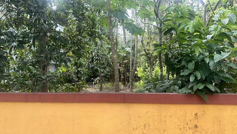Garden, kuttanellur  4356 Sq.Ft. Plot In Kuttanellur Thrissur 10313164