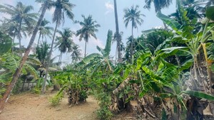 Plot Area in  Plot at Chiyyaram – for Sale