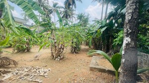 Plot Area in  Plot at Chiyyaram – for Sale