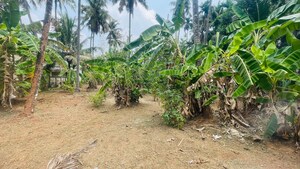 Plot Area in  Plot at Chiyyaram – for Sale