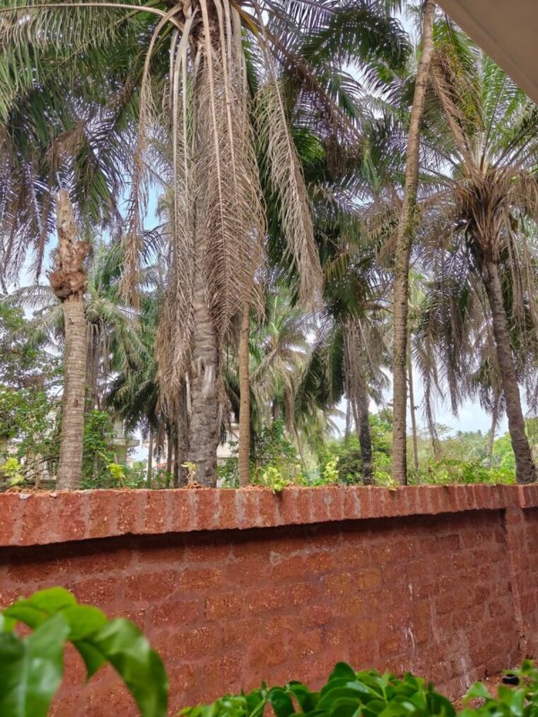 Garden, mvr-casa-aurea 5 Bedroom 361 Sq.Mt. Villa In Siolim Goa 10313352