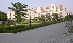 1 BHK Apartment For Rent in Sushma Chandigarh Grande