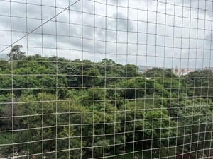 Balcony in 2 BHK Apartment at Majestique Venice, Dhayari – for Sale