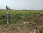 1089 Sq.Ft. Plot in Adai