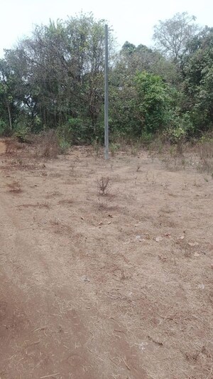 Plot Area in  Land at Karjat – for Sale