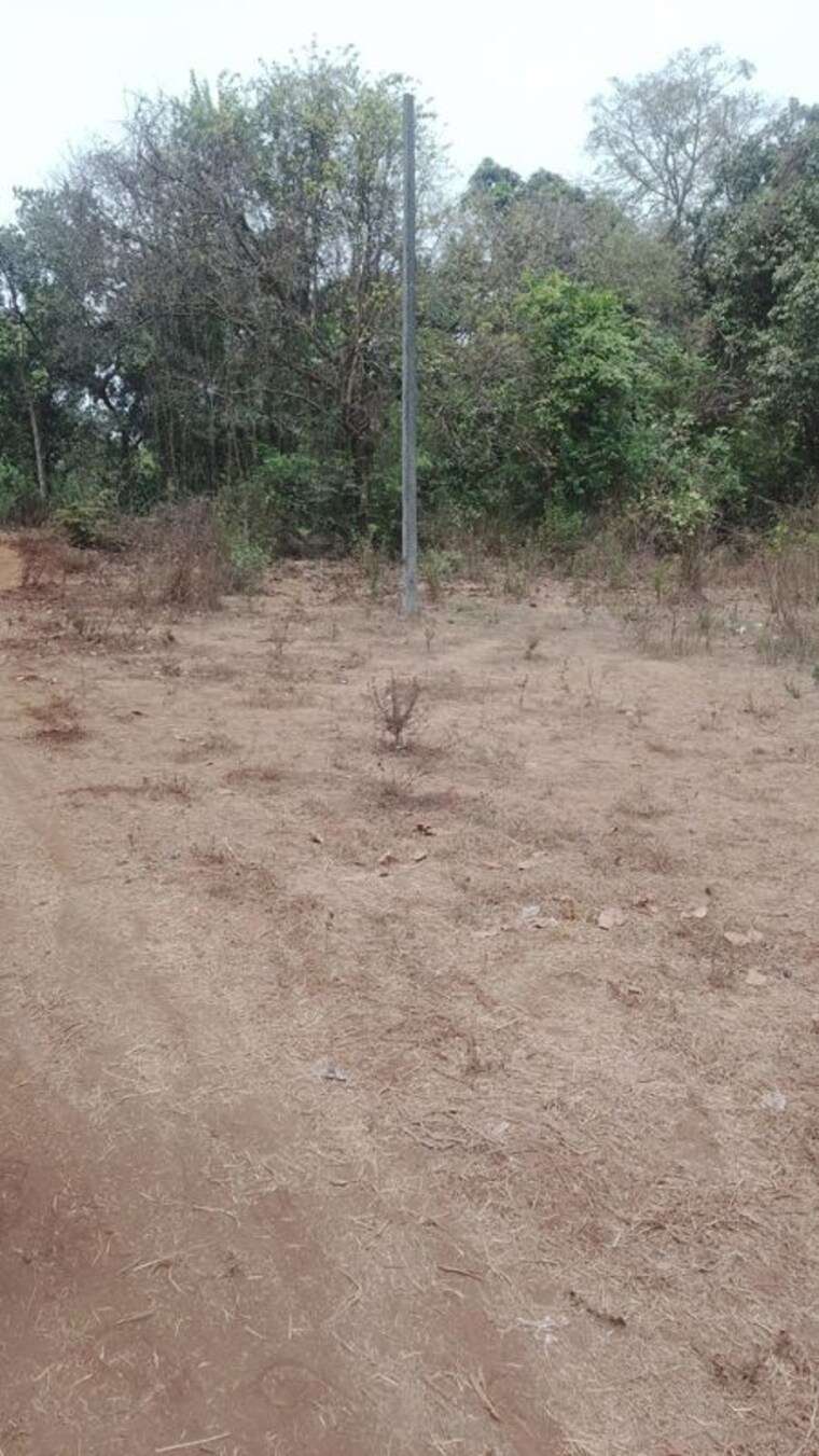 undefined, karjat Commercial Land 1089 Sq.Ft. In Karjat Navi Mumbai 10313585