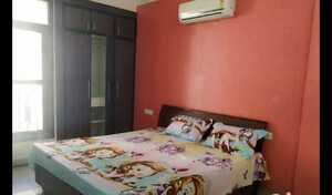 3 BHK Apartment For Rent in Maya Garden City, Lohgarh