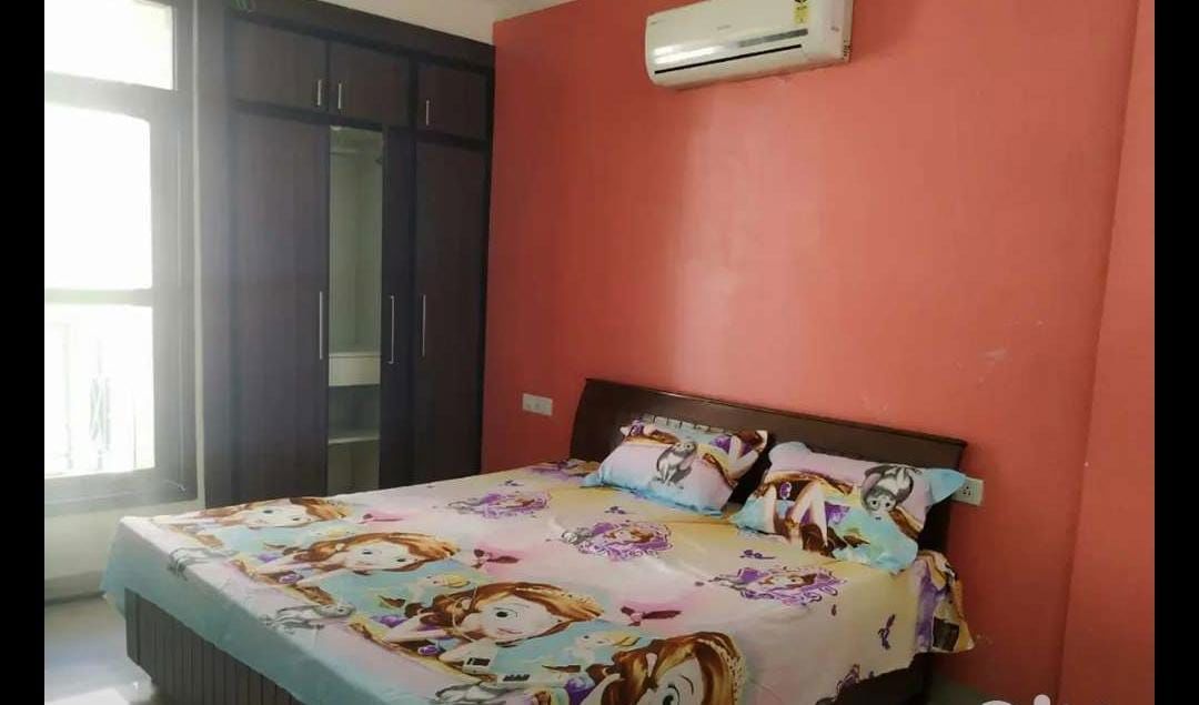 3 BHK Apartment For Rent in Maya Garden City