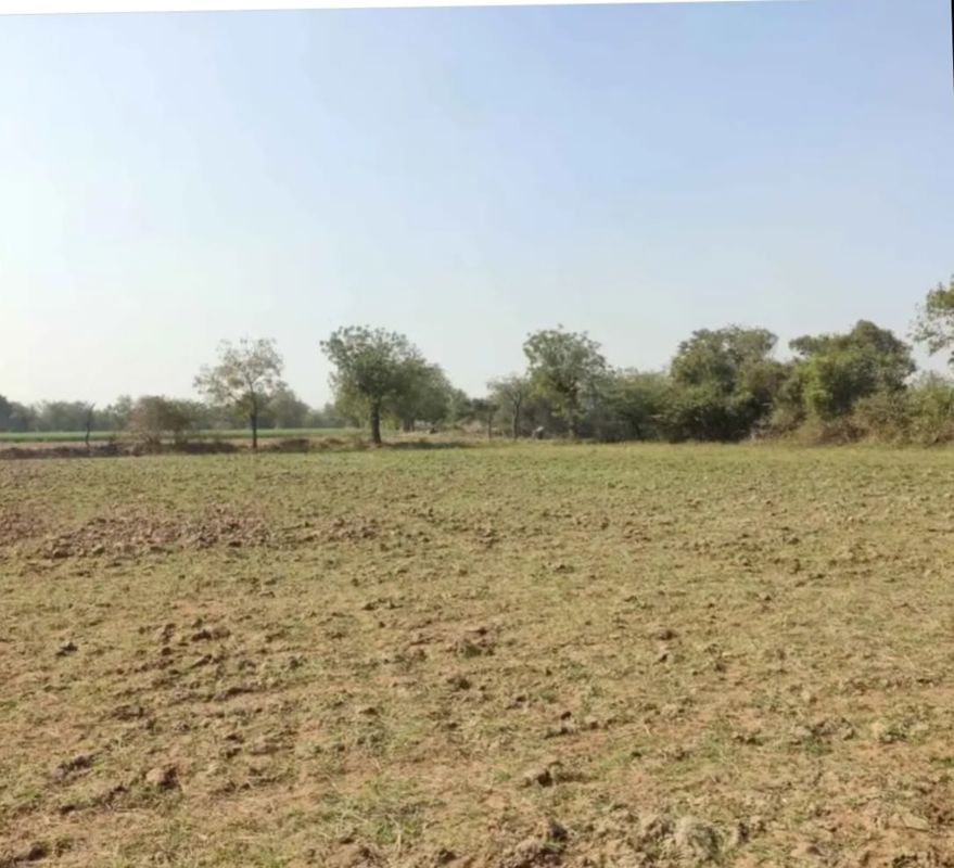 Land For Rent in Bhadaj
