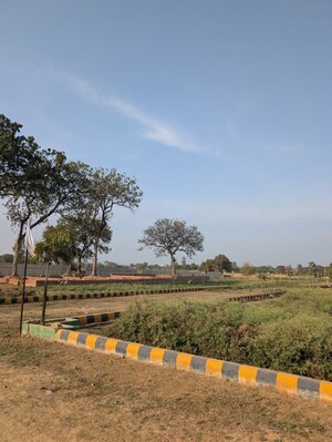 Plot Area in  Plot at Amethi – for Sale