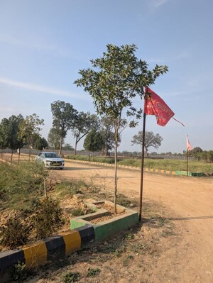 Plot Area in  Plot at Amethi – for Sale