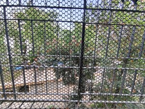 1 BHK Apartment – Garden View at Chandiwala Complex, Ganeshwadi - for Rent