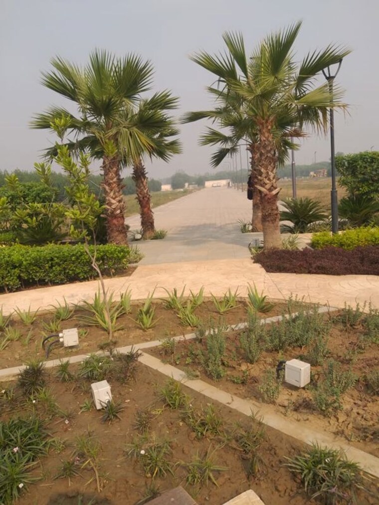 Garden, amolik-aster-woods  110 Sq.Yd. Plot In Sector 98 Faridabad 10314634