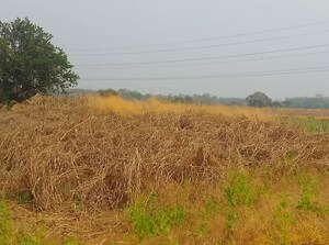 Plot Area in  Land at Adai – for Sale