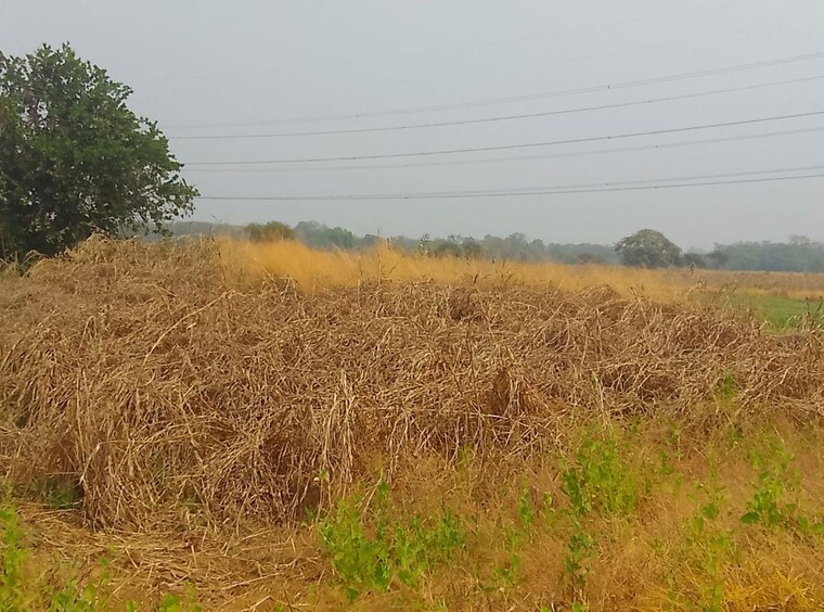 undefined, adai Commercial Land 1089 Sq.Ft. In Adai Navi Mumbai 10314695