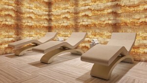 4 BHK Apartment – Exterior View View at Tulip Monsella, Sector 53 - for Sale