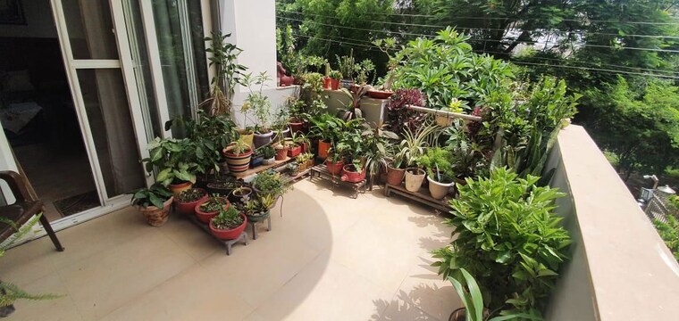 Garden, dlf-atria 6+ Bedroom 502 Sq.Yd. Independent House In Dlf Phase ii Gurgaon 10314891