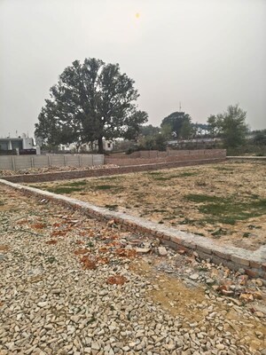 Plot Area in  Plot at Kamta – for Sale