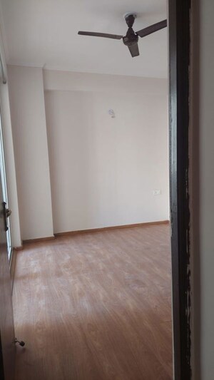 Room in 2.5 BHK Apartment at Amrapali Golf Homes, Sector 4 Greater Noida – for Rent