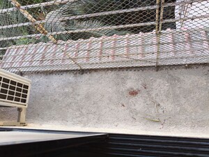 Swimming Pool in 2 BHK Apartment at Chembur – for Sale