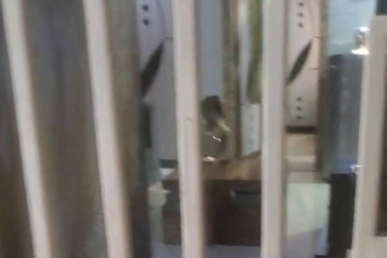 undefined, adore-happy-homes-grand 2 Bedroom 475 Sq.Ft. Apartment In Sector 85 Faridabad 10315097