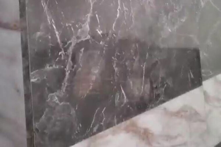 Lobby, adore-happy-homes-grand 2 Bedroom 475 Sq.Ft. Apartment In Sector 85 Faridabad 10315097