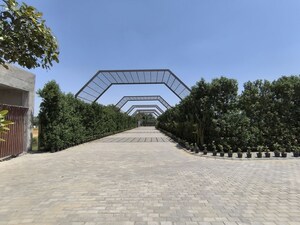  Plot – Exterior View View at Pataudi - for Sale