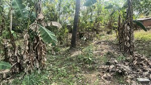  Plot For Sale in Kuttanellur