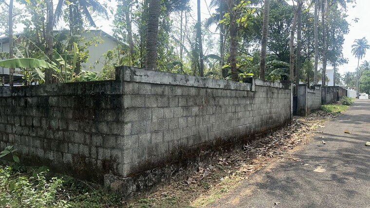 undefined, kuttanellur  9583 Sq.Ft. Plot In Kuttanellur Thrissur 10315314