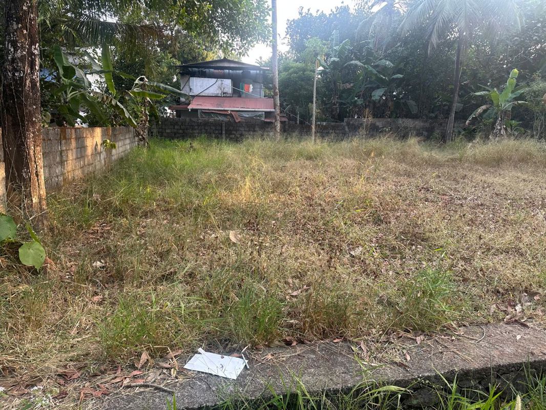 Plot For Sale in Mundoor