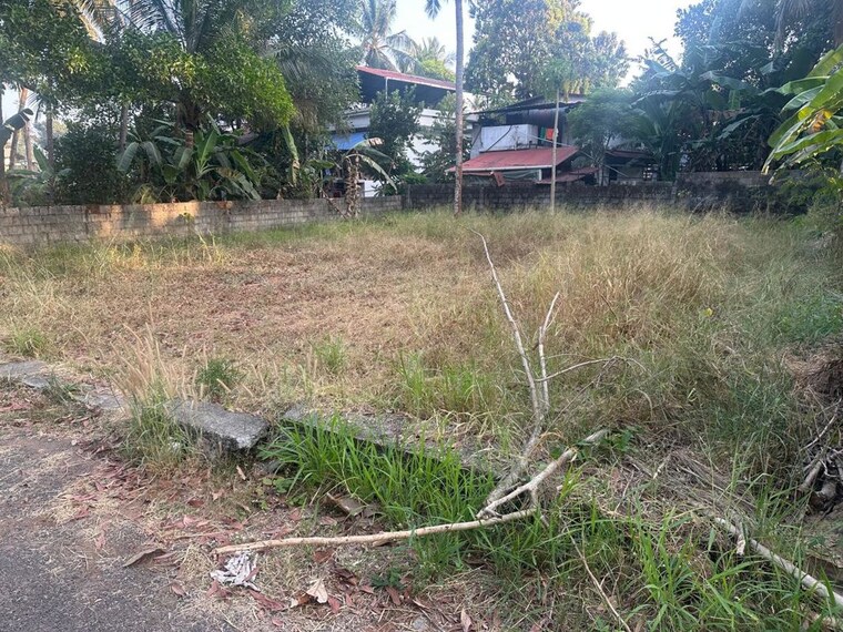 undefined, mundoor  4139 Sq.Ft. Plot In Mundoor Thrissur 10315541
