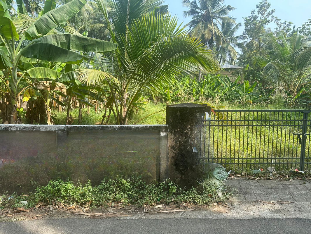 Plot For Sale in Cheroor