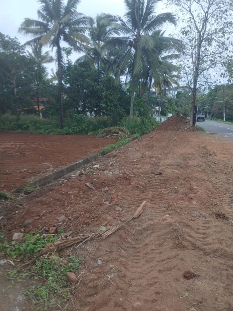 undefined, ollur  4794 Sq.Ft. Plot In Ollur Thrissur 10315836