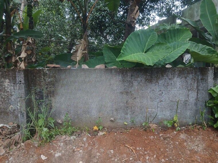 undefined, ollur  4794 Sq.Ft. Plot In Ollur Thrissur 10315836