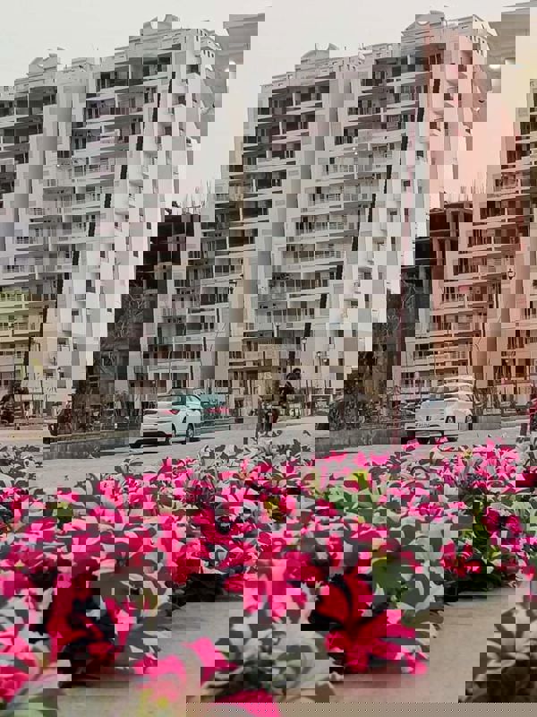 3 BHK 1721 Sq.Ft. Apartment in Motia Blue Ridge