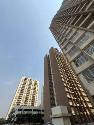 2 BHK Apartment For Rent in Kolte Patil Life Republic 16th Avenue Arezo, Hinjewadi