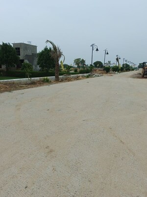 Plot Area in  Plot at Sector 6 Wave City – for Sale