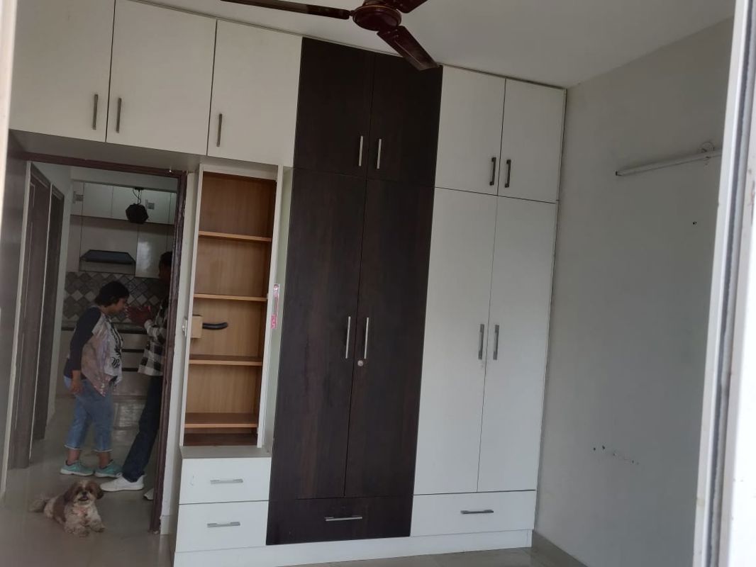 3.5 BHK + Pooja Room,Study Room,Basement Builder Floor For Rent in M3M Soulitude