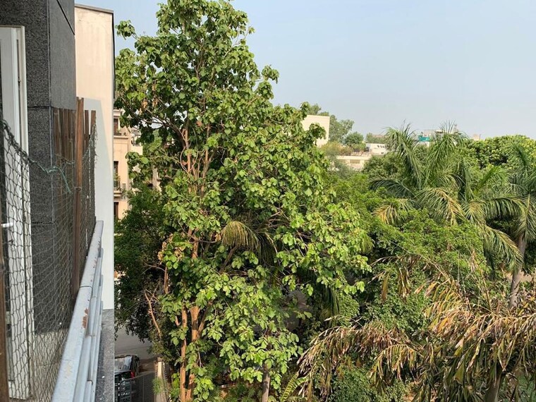 Garden, vasant vihar 4 Bedroom 400 Sq.Yd. Builder Floor In Vasant Vihar Delhi 10317044