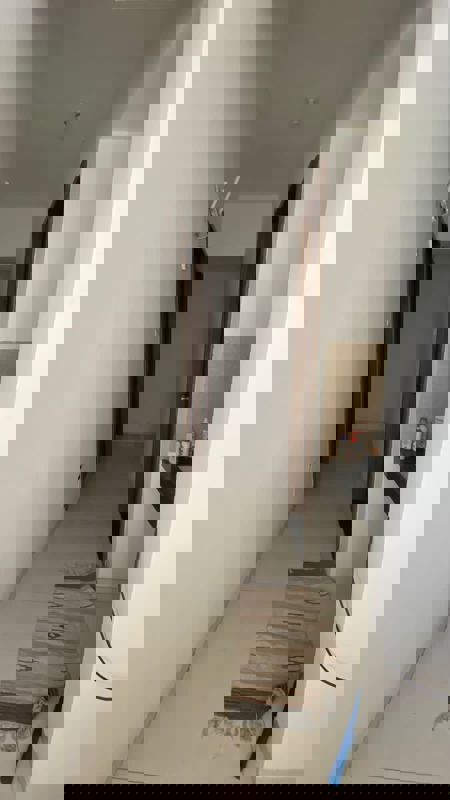 2 BHK + Servant Room 1000 Sq.Ft. Apartment in Siddh Amara