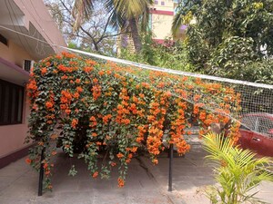 3 BHK Independent House – Exterior View View at Vanasthalipuram - for Rent