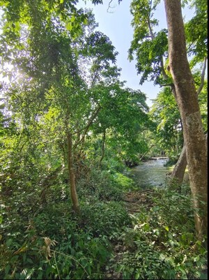  Plot – Exterior View View at Balawala - for Sale