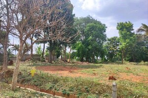 Plot Area in  Plot at Bluevalley Tranquil Arc, Rajanukunte – for Sale